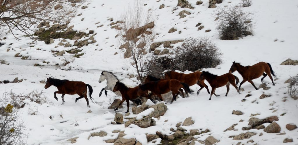 Doğa Yürüyüşü (trekki̇ng) - Ulaşli Halidere - Fotoğraf 3